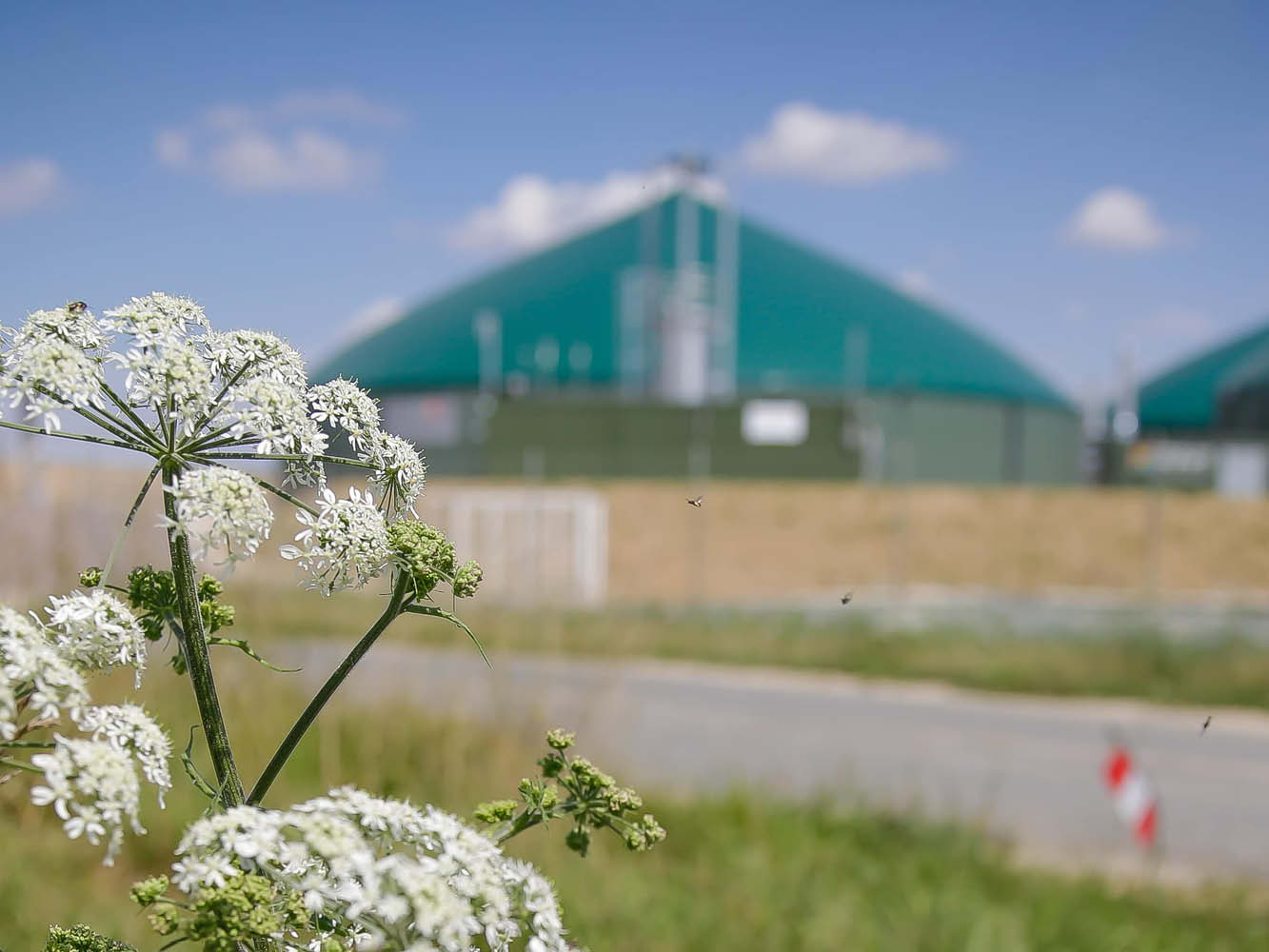 La Station Verte La Plus Proche De Chez Grace